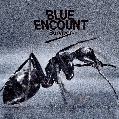 Survivor Blue Encount