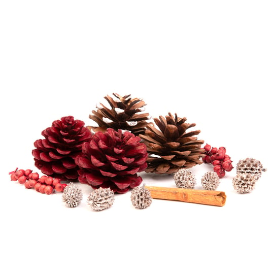 Susz dekoracyjny ROQUE Pine & Cinnamon 18x12x7 cm HOMLA Homla