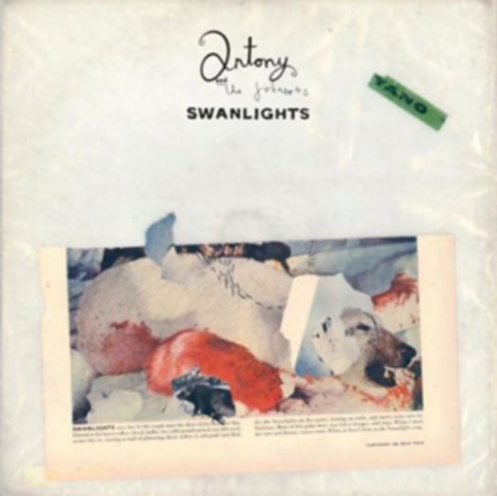 Swanlights Antony and The Johnsons