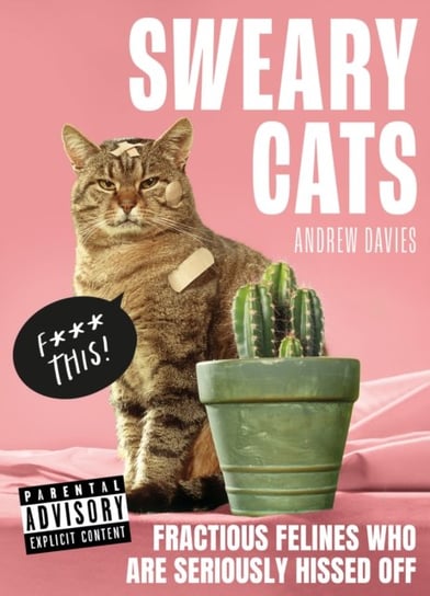 Sweary Cats Andrew Davies