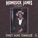 Sweet Home Tennessee Homesick James