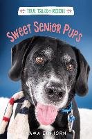 Sweet Senior Pups Einhorn Kama