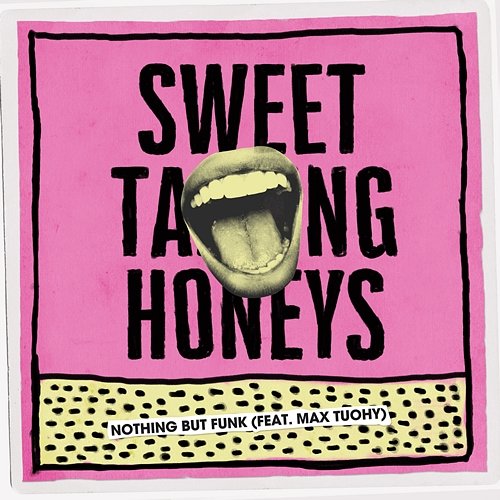 Sweet Talking Honeys Nothing But Funk feat. Max Tuohy