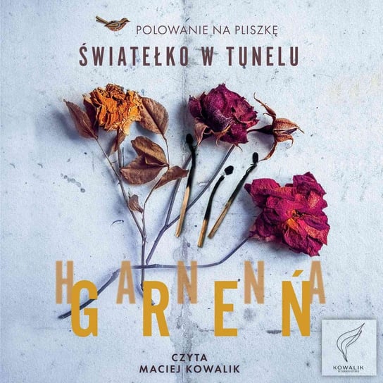 Światełko w tunelu - audiobook Greń Hanna