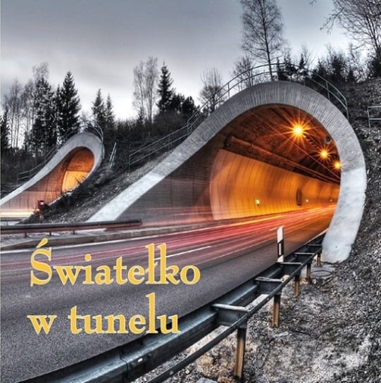 Światełko w tunelu Olchawski Rafał