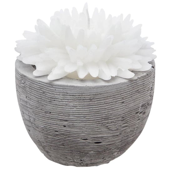 Świeca  dekoracyjna, biały kwiat w cementowej donicy, 100g Atmosphera