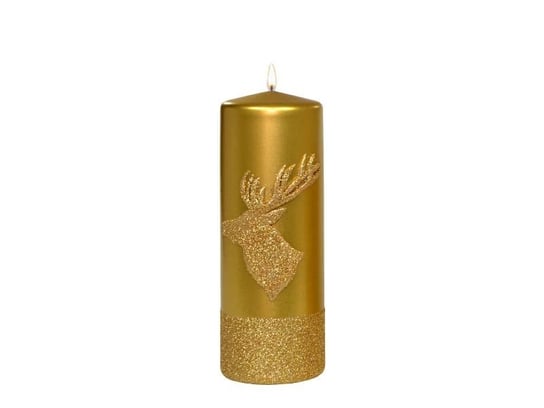 Świeca pieńkowa świąteczna złota metalik 200mm Adpal