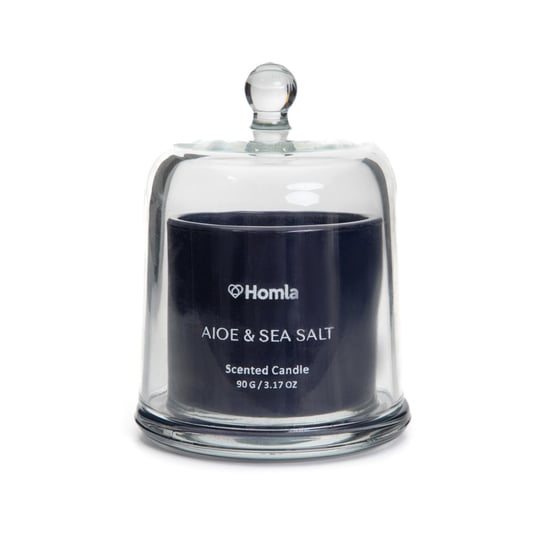 Świeca zapachowa ENVY Aloe & Sea Salt o armoacie aloesu i soli morskiej 90 G HOMLA Homla