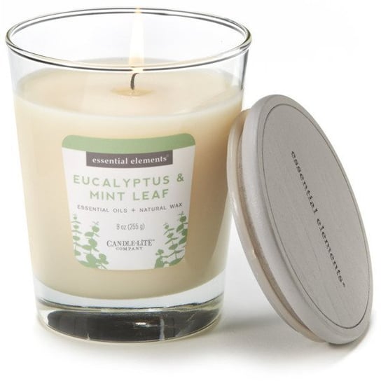 Świeca zapachowa - Eucalyptus & Mint Leaf (255g) Candle - Lite Company