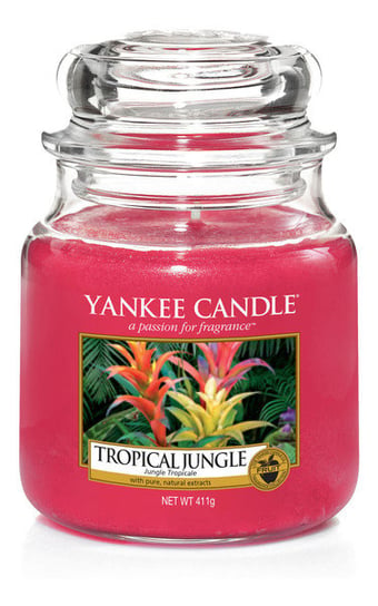 Świeca zapachowa, YANKEE CANDLE, Tropical Jungle, 411 g Yankee Candle