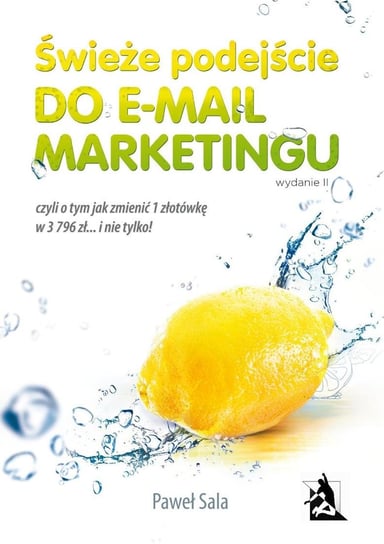 Świeże podejście do e-mail marketingu Sala Paweł