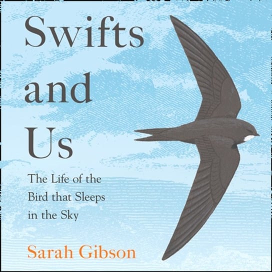 Swifts and Us Gibson Sarah
