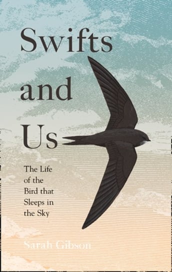 Swifts and Us: The Life of the Bird That Sleeps in the Sky Gibson Sarah