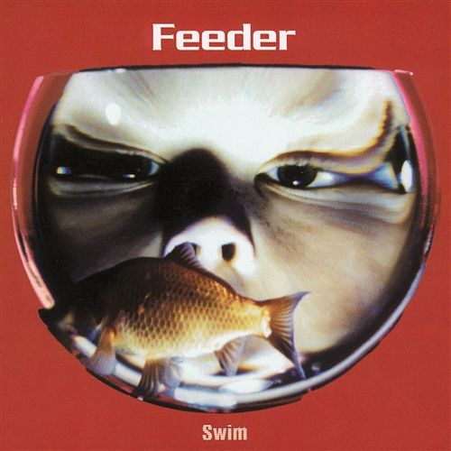 Swim Feeder