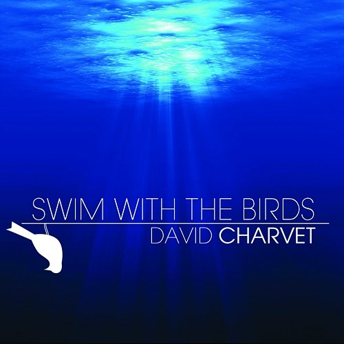 Swim With The Birds David Charvet