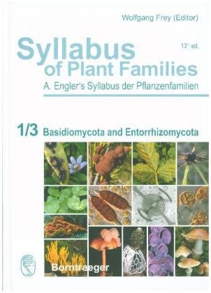 Syllabus of Plant Families - A. Engler's Syllabus der Pflanzenfamilien Part 1/3 Borntraeger Gebrueder, Borntraeger Gebrder