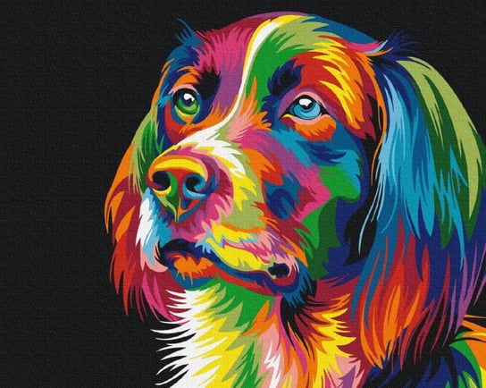 Symag Malowanie po numerach Pies w kolorach Symag