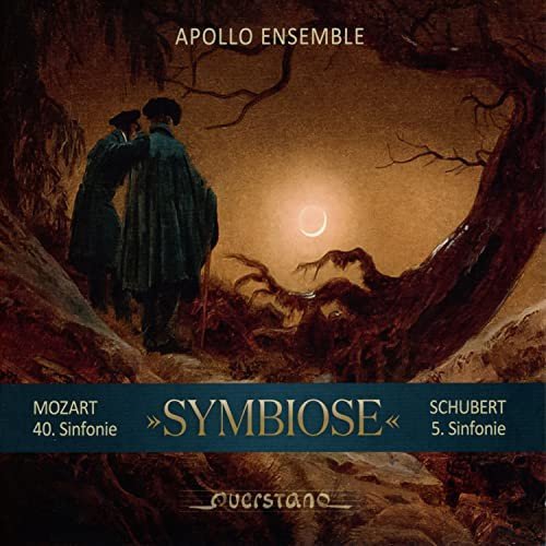 Symphonie Nr.40 (Fassung fur Kammerorchester) Various Artists
