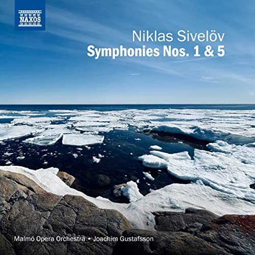 Symphonien Nr.1 & 5 Various Artists