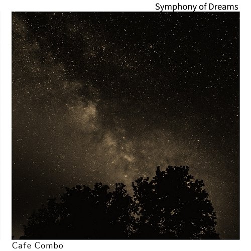 Symphony of Dreams Cafe Combo