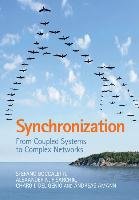 Synchronization Boccaletti Stefano, Pisarchik Alexander N., Del Genio Charo I., Amann Andreas
