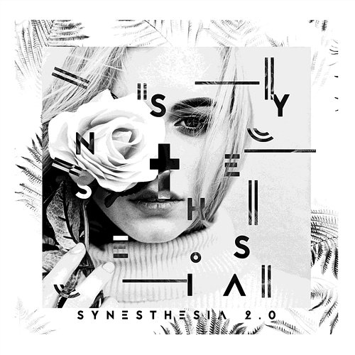 Synesthesia 2.0 Various Artists