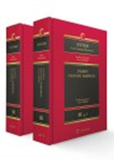 System Prawa Karnego Procesowego. Tom 3. Zasady procesu karnego. Część 1/2 Opracowanie zbiorowe