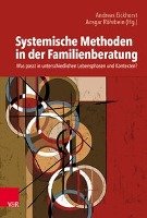 Systemische Methoden in der Familienberatung Vandenhoeck + Ruprecht Gm, Vandenhoeck&Ruprecht