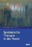 Systemische Therapie in der Praxis Psychologie Verlagsunion, Beltz Julius Gmbh&Co. Kg