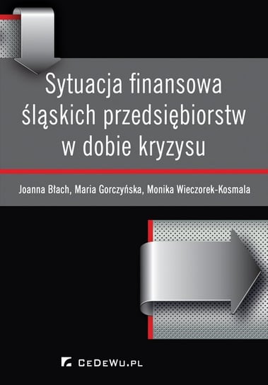 Sytuacja finansowa śląskich przedsiębiorstw w dobie kryzysu - ebook PDF Błach Joanna, Gorczyńska Maria, Wieczorek-Kosmala Monika