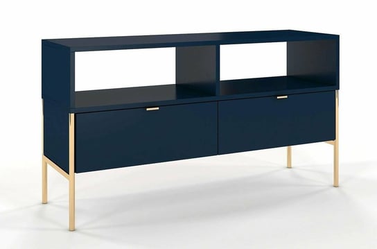 Szafka RTV Polka Navy Blue SKANDICA