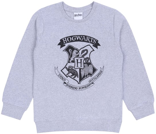 Szara, Chłopięca Bluza Logo Hogwarts Harry Potter 158/154Cm sarcia.eu
