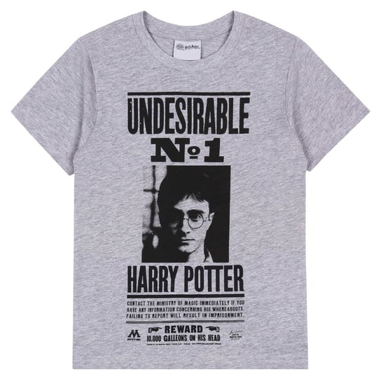 Szara koszulka z krótkimi rękawami Harry Potter 134 cm sarcia.eu