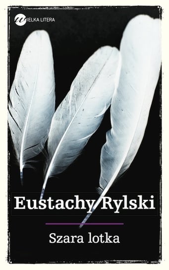 Szara lotka Rylski Eustachy