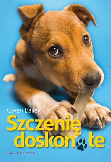 Szczenię doskonałe Bailey Gwen