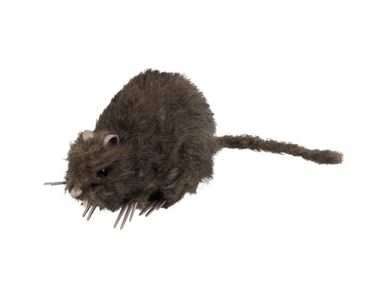 Szczur na Halloween - 15 cm - 1 szt. Boland