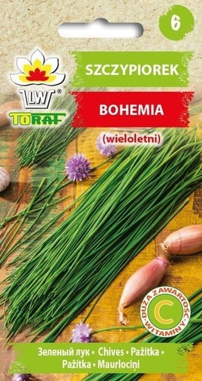 Szczypiorek Bohemia Allium Schoenoprasum L. Toraf