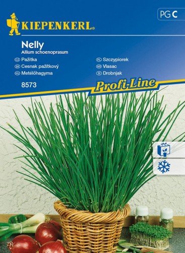 Szczypiorek Nelly Allium schoenoprasum KIEPENKERL