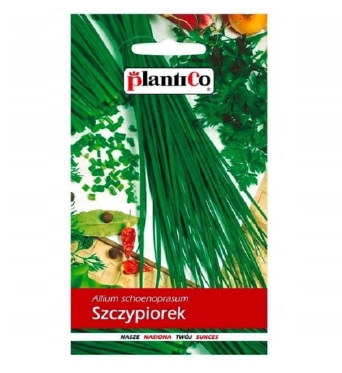 Szczypiorek Ogrodowy Allium Schoenoprasum Wulkan 1g PlantiCo PlantiCo