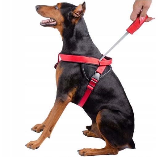 Szelki Dla Psa Odblaskowe Ze Zintegrowanym Krótkim Uchwytem, Regulowane Patento Pet Rozmiar L PATENTO PET
