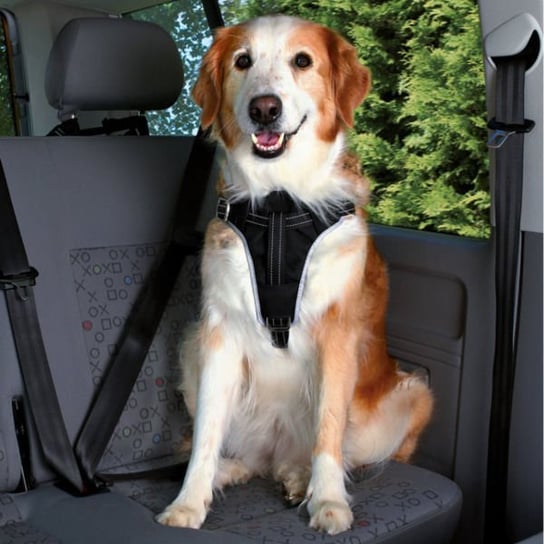 Szelki samochodowe dla psa TRIXIE Dog Perfect, czarne, rozmiar L, 65-80 cm Trixie