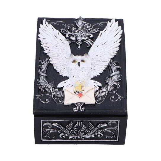 Szkatułka Owl Messenger Inna marka