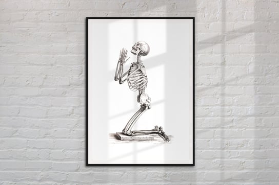 Szkielet człowieka klęczący GRAFIKA vintage na prezent A4 Dodoprint