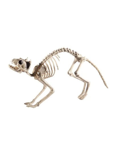 Szkielet kota upiorny na halloween dekoracja kości ABC