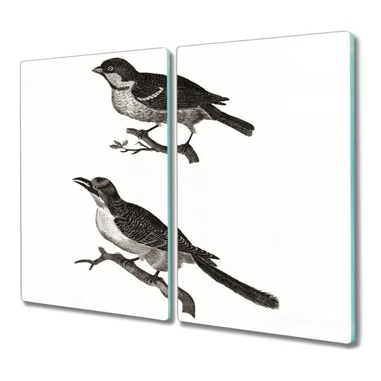 Szklana deska 2x30x52 Zwierzę ptak kaczka kuchenna, Coloray Coloray