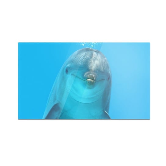 Szklana deska do krojenia HOMEPRINT Delfin 60x52 cm HOMEPRINT