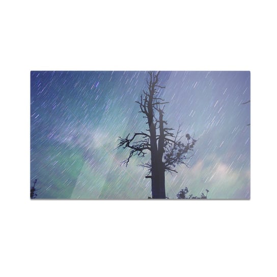 Szklana deska do krojenia HOMEPRINT Drzewo na tle nieba 60x52 cm HOMEPRINT