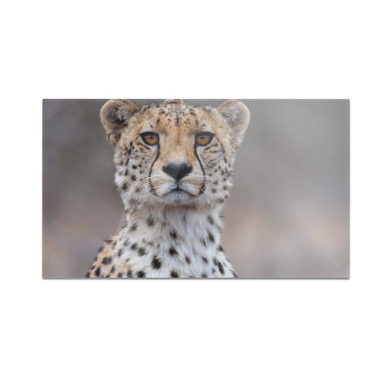 Szklana deska do krojenia HOMEPRINT Gepard 60x52 cm HOMEPRINT