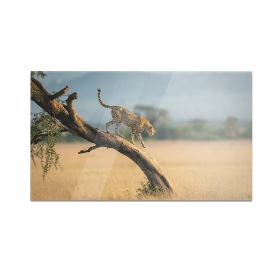 Szklana deska do krojenia HOMEPRINT Gepard na drzewie 60x52 cm HOMEPRINT