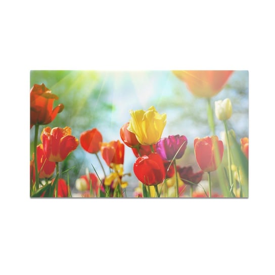 Szklana deska do krojenia HOMEPRINT Kolorowe tulipany 60x52 cm HOMEPRINT